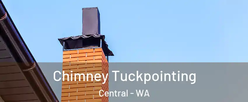 Chimney Tuckpointing Central - WA