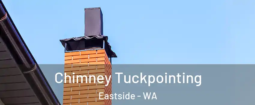 Chimney Tuckpointing Eastside - WA