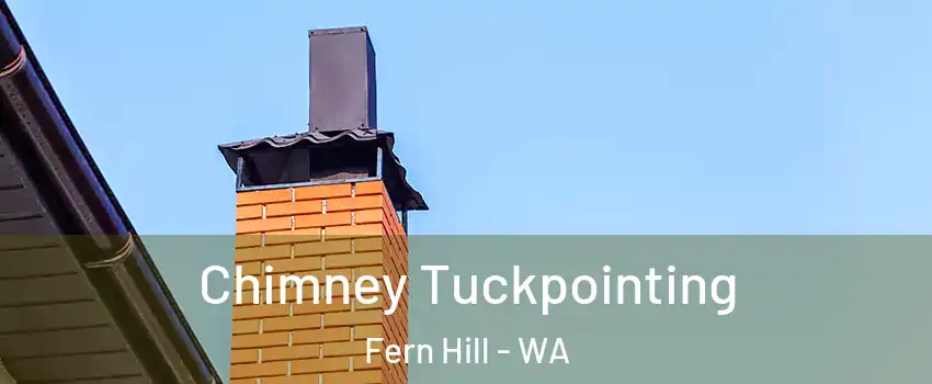 Chimney Tuckpointing Fern Hill - WA