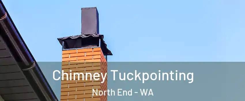 Chimney Tuckpointing North End - WA