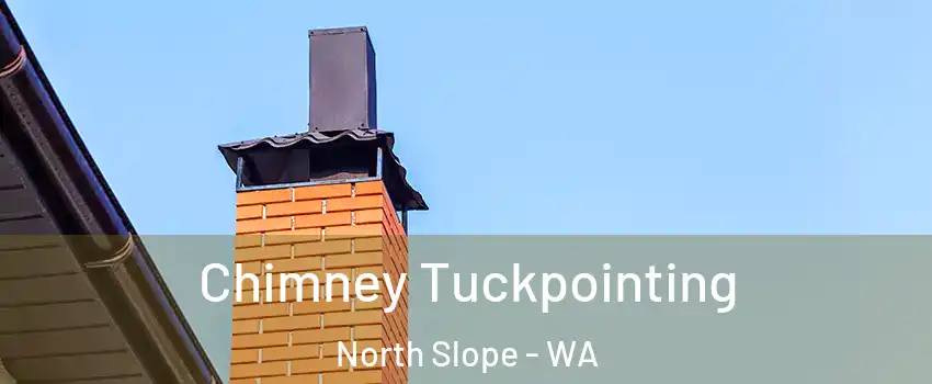 Chimney Tuckpointing North Slope - WA