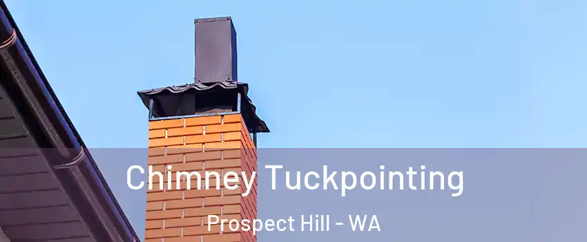 Chimney Tuckpointing Prospect Hill - WA