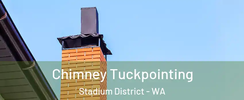 Chimney Tuckpointing Stadium District - WA