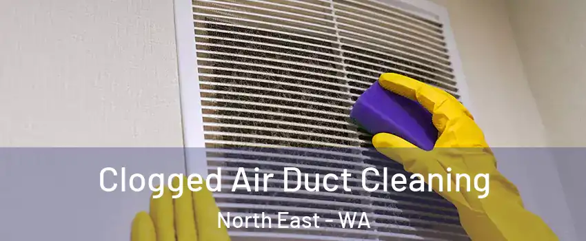 Clogged Air Duct Cleaning North East - WA