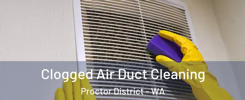 Clogged Air Duct Cleaning Proctor District - WA