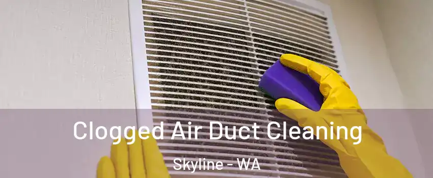 Clogged Air Duct Cleaning Skyline - WA