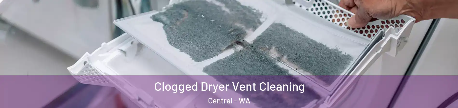 Clogged Dryer Vent Cleaning Central - WA