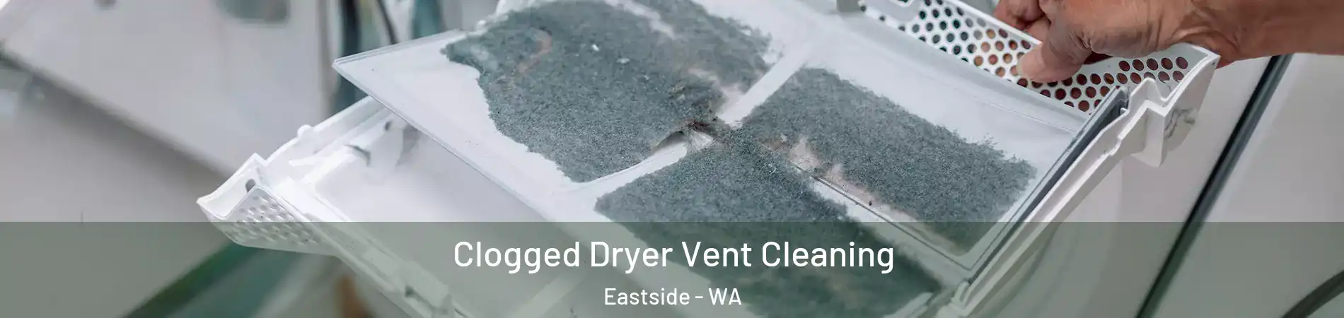 Clogged Dryer Vent Cleaning Eastside - WA