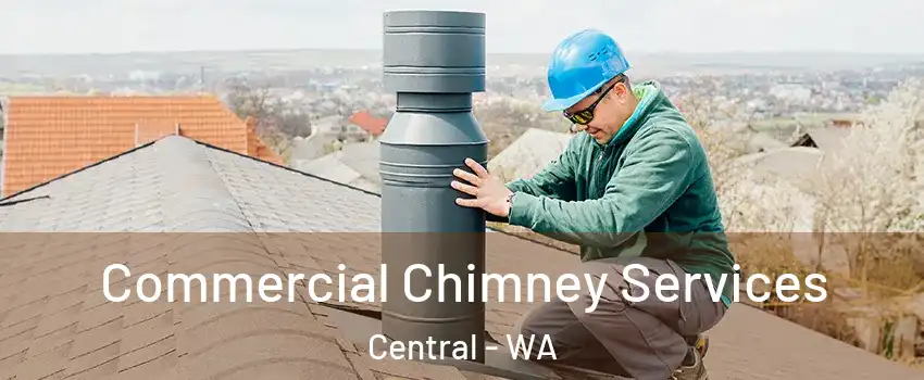 Commercial Chimney Services Central - WA