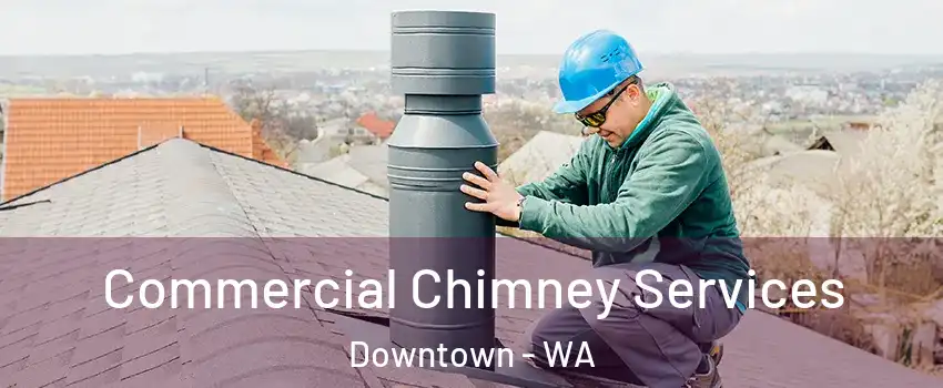 Commercial Chimney Services Downtown - WA