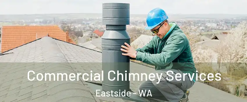 Commercial Chimney Services Eastside - WA