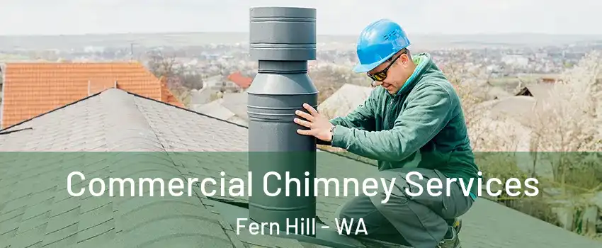 Commercial Chimney Services Fern Hill - WA