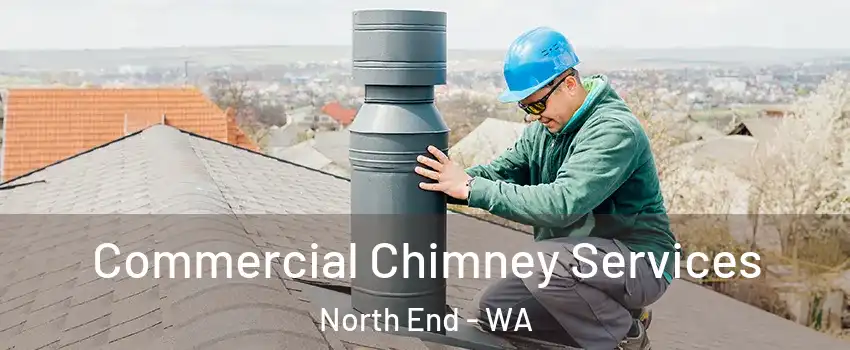 Commercial Chimney Services North End - WA