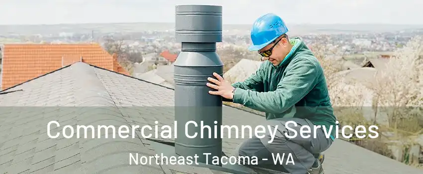 Commercial Chimney Services Northeast Tacoma - WA