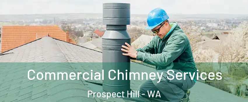 Commercial Chimney Services Prospect Hill - WA