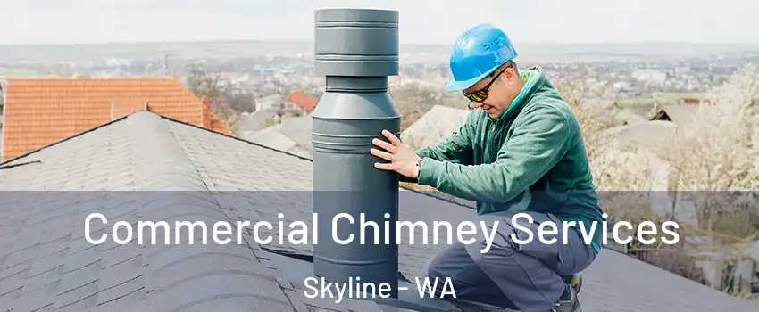 Commercial Chimney Services Skyline - WA