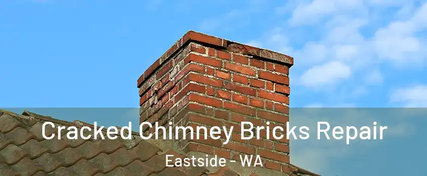 Cracked Chimney Bricks Repair Eastside - WA