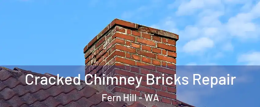 Cracked Chimney Bricks Repair Fern Hill - WA