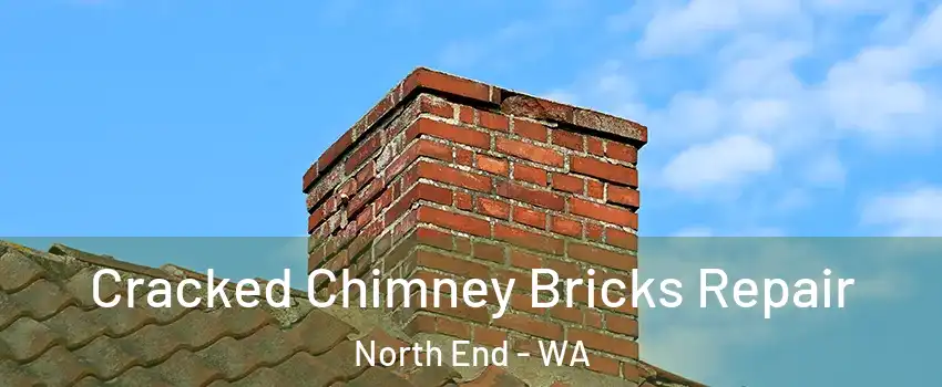 Cracked Chimney Bricks Repair North End - WA