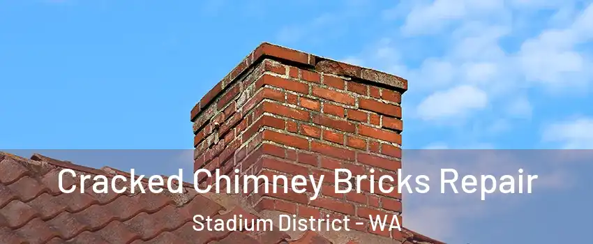 Cracked Chimney Bricks Repair Stadium District - WA