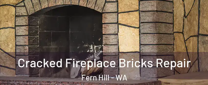 Cracked Fireplace Bricks Repair Fern Hill - WA