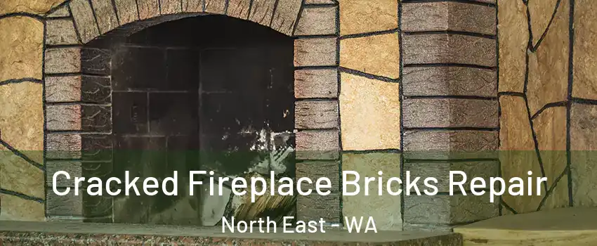 Cracked Fireplace Bricks Repair North East - WA