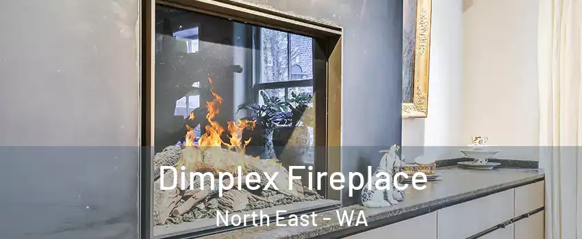 Dimplex Fireplace North East - WA