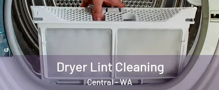 Dryer Lint Cleaning Central - WA