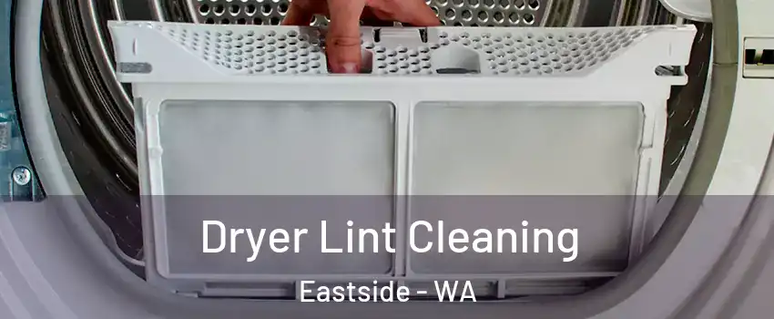 Dryer Lint Cleaning Eastside - WA