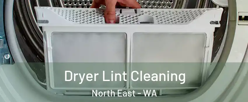 Dryer Lint Cleaning North East - WA