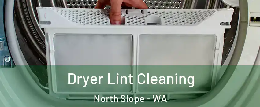 Dryer Lint Cleaning North Slope - WA