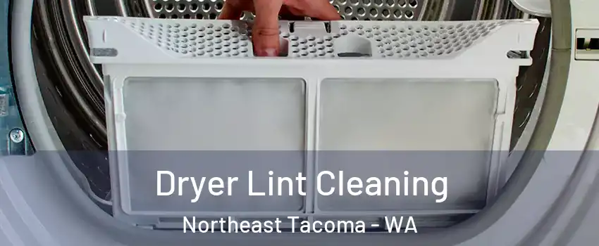 Dryer Lint Cleaning Northeast Tacoma - WA