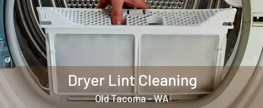 Dryer Lint Cleaning Old Tacoma - WA