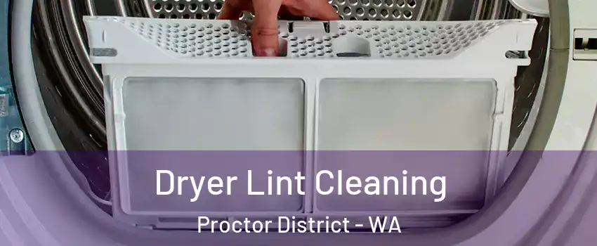 Dryer Lint Cleaning Proctor District - WA