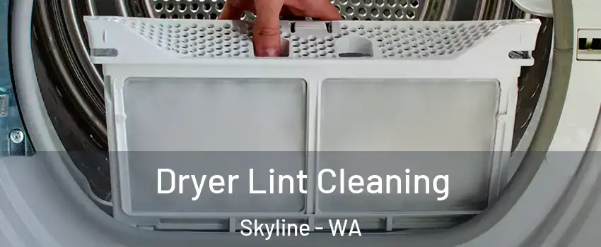 Dryer Lint Cleaning Skyline - WA