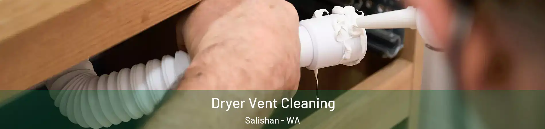 Dryer Vent Cleaning Salishan - WA