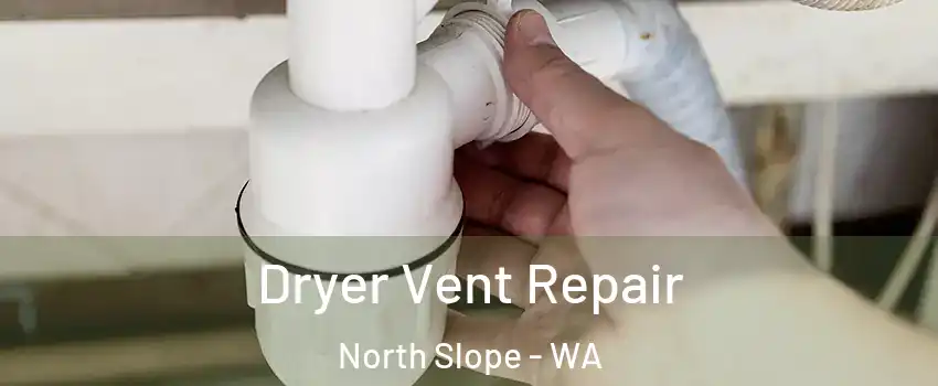 Dryer Vent Repair North Slope - WA