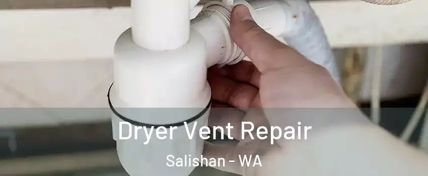 Dryer Vent Repair Salishan - WA