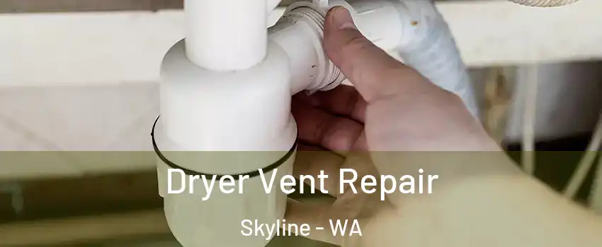 Dryer Vent Repair Skyline - WA