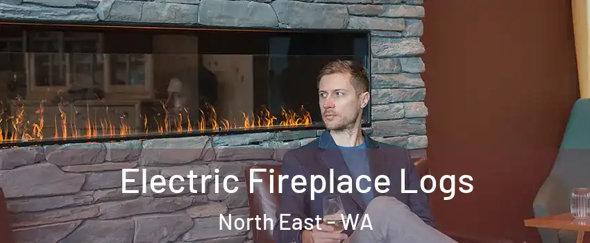 Electric Fireplace Logs North East - WA