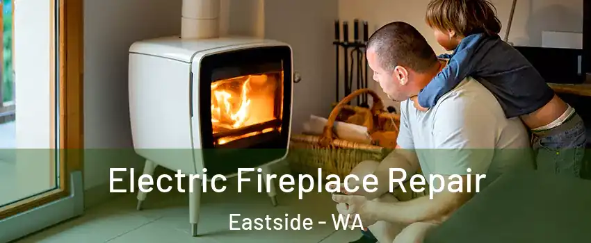 Electric Fireplace Repair Eastside - WA