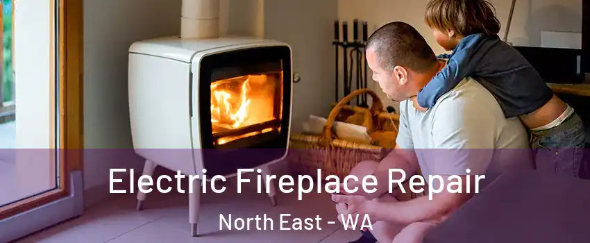 Electric Fireplace Repair North East - WA