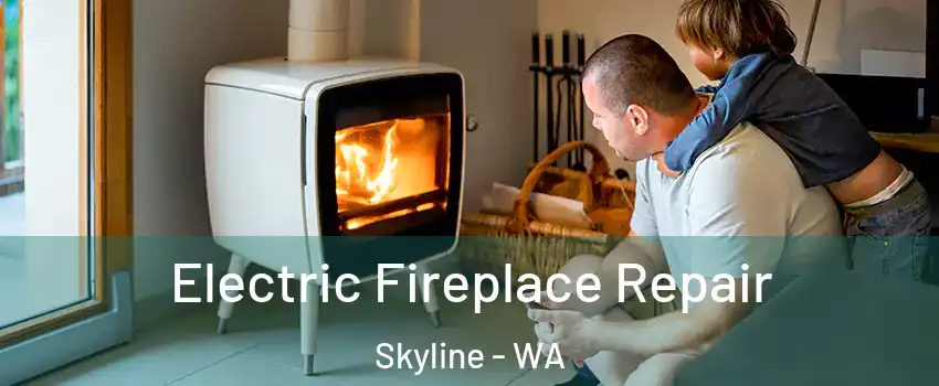 Electric Fireplace Repair Skyline - WA