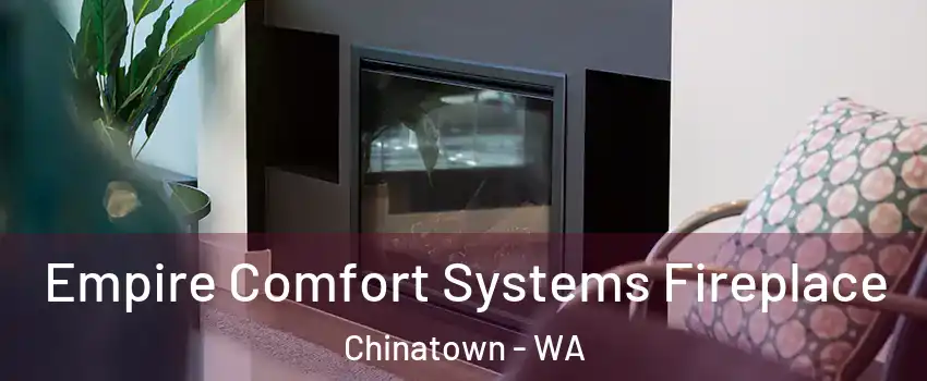 Empire Comfort Systems Fireplace Chinatown - WA