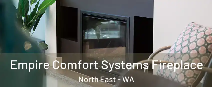 Empire Comfort Systems Fireplace North East - WA