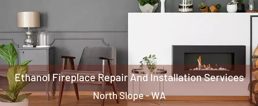 Ethanol Fireplace Repair And Installation Services North Slope - WA