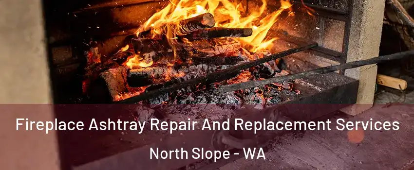 Fireplace Ashtray Repair And Replacement Services North Slope - WA