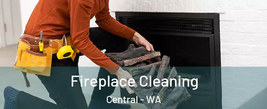 Fireplace Cleaning Central - WA