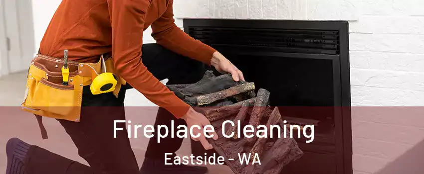 Fireplace Cleaning Eastside - WA