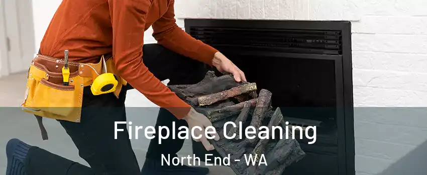 Fireplace Cleaning North End - WA